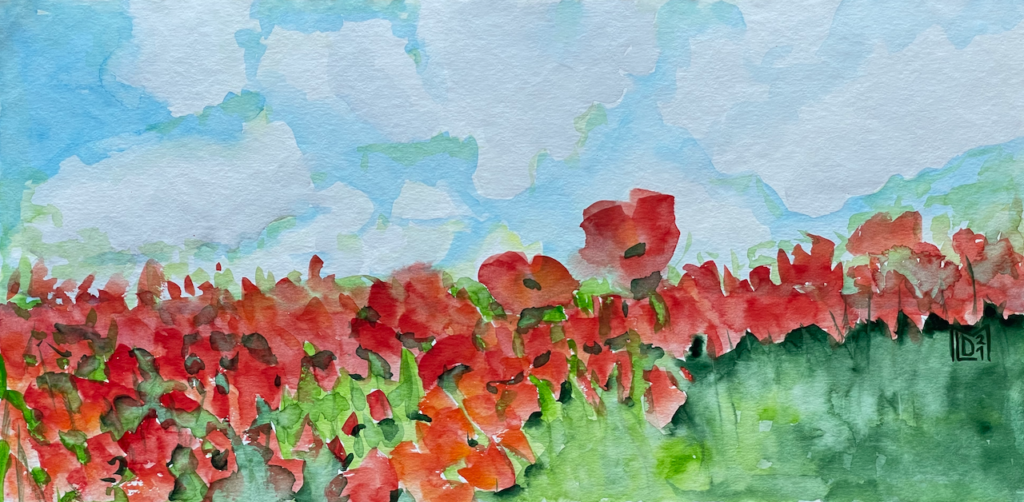 Poppy Field (2)